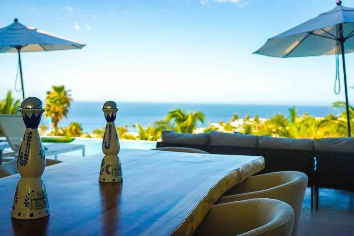 Actividades Y Juegos Para Que Todos Disfruten Cabo San Lucas