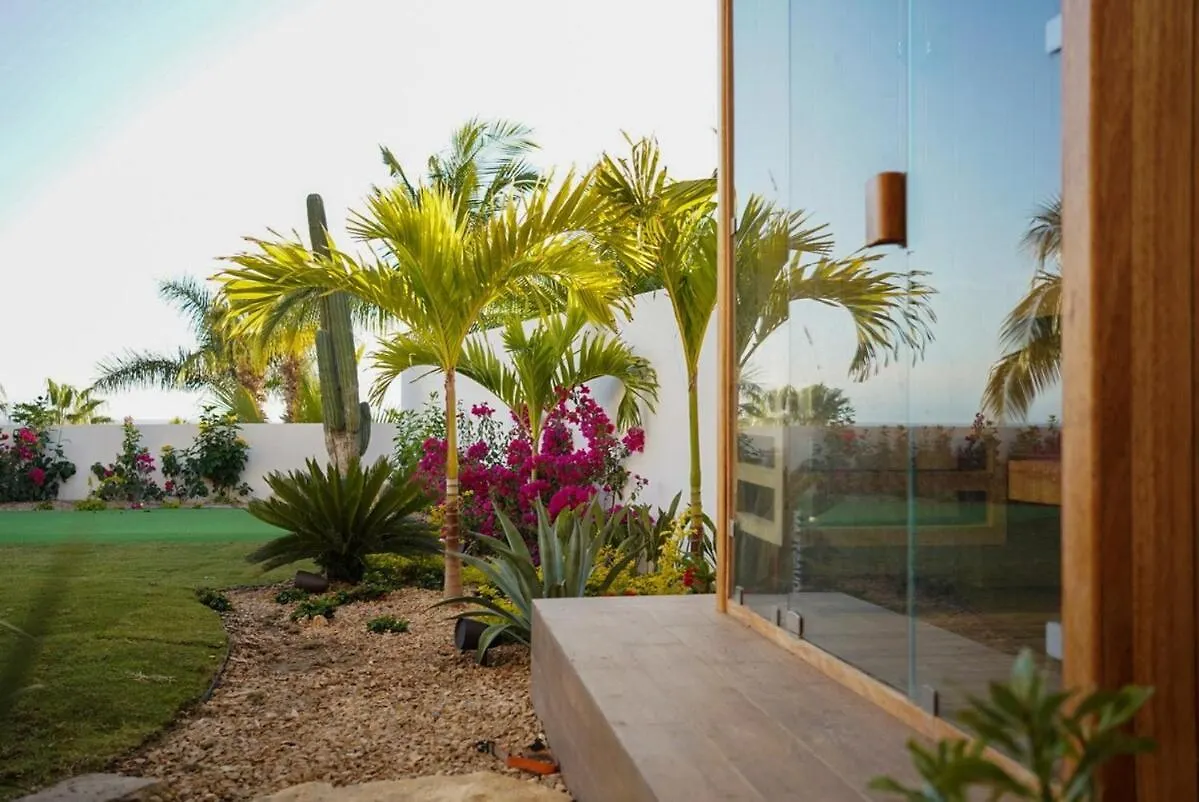 Actividades Y Juegos Para Que Todos Disfruten Cabo San Lucas Appartement